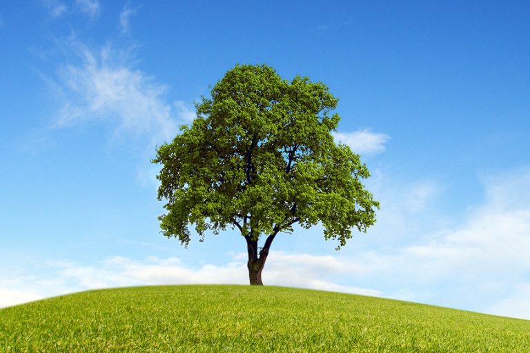 Direct Investing A Pathway to Family Stewardship