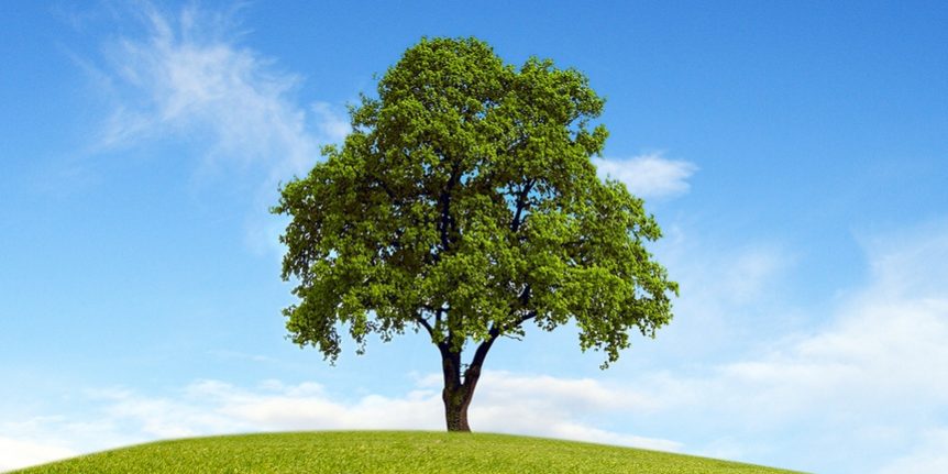 Direct Investing A Pathway to Family Stewardship