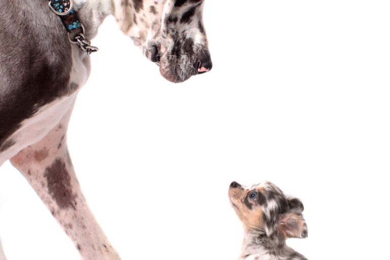 Playing to Your Strengths Strategic Deal Sourcing